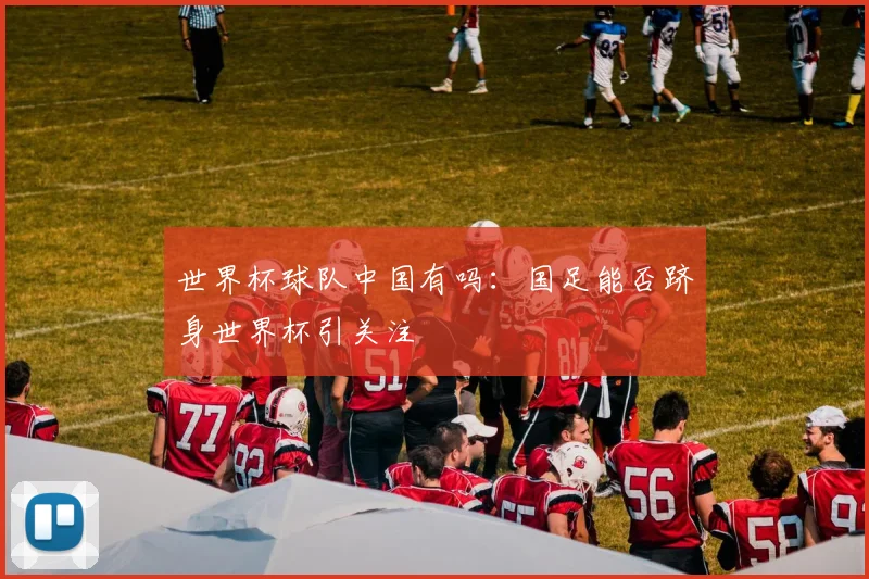世界杯球队中国有吗：国足能否跻身世界杯引关注
