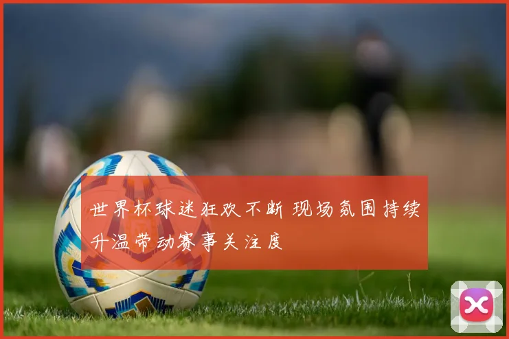 世界杯球迷狂欢不断 现场氛围持续升温带动赛事关注度