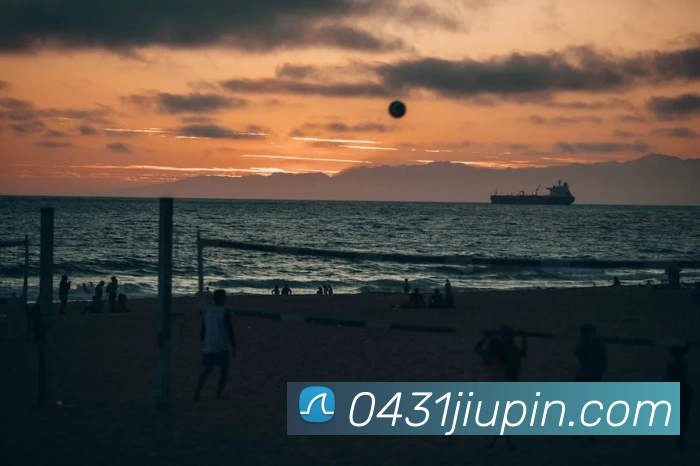 App Interface Preview